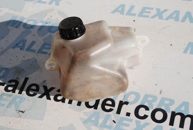 Ausgleichbehälter Kühlwasser