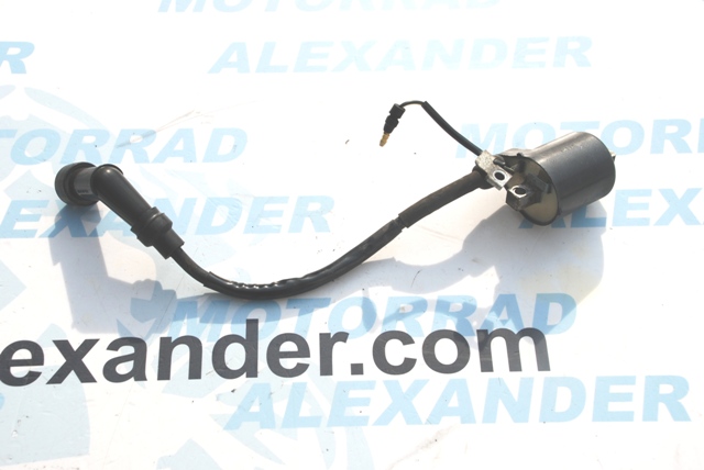 Zündspule / Zündkerzenstecker