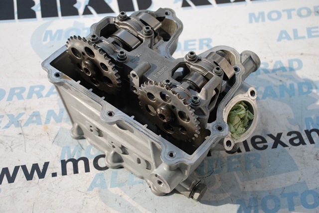 Zylinderkopf / Nockenwellen