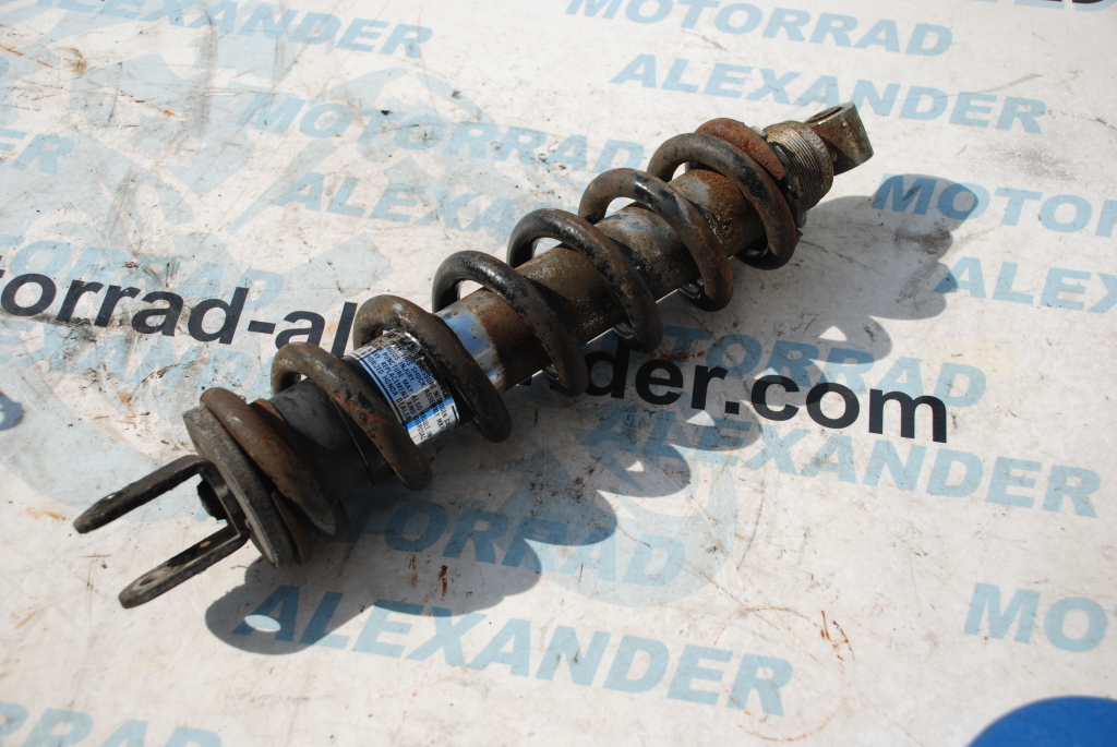 Federbein Stoßdämpfer