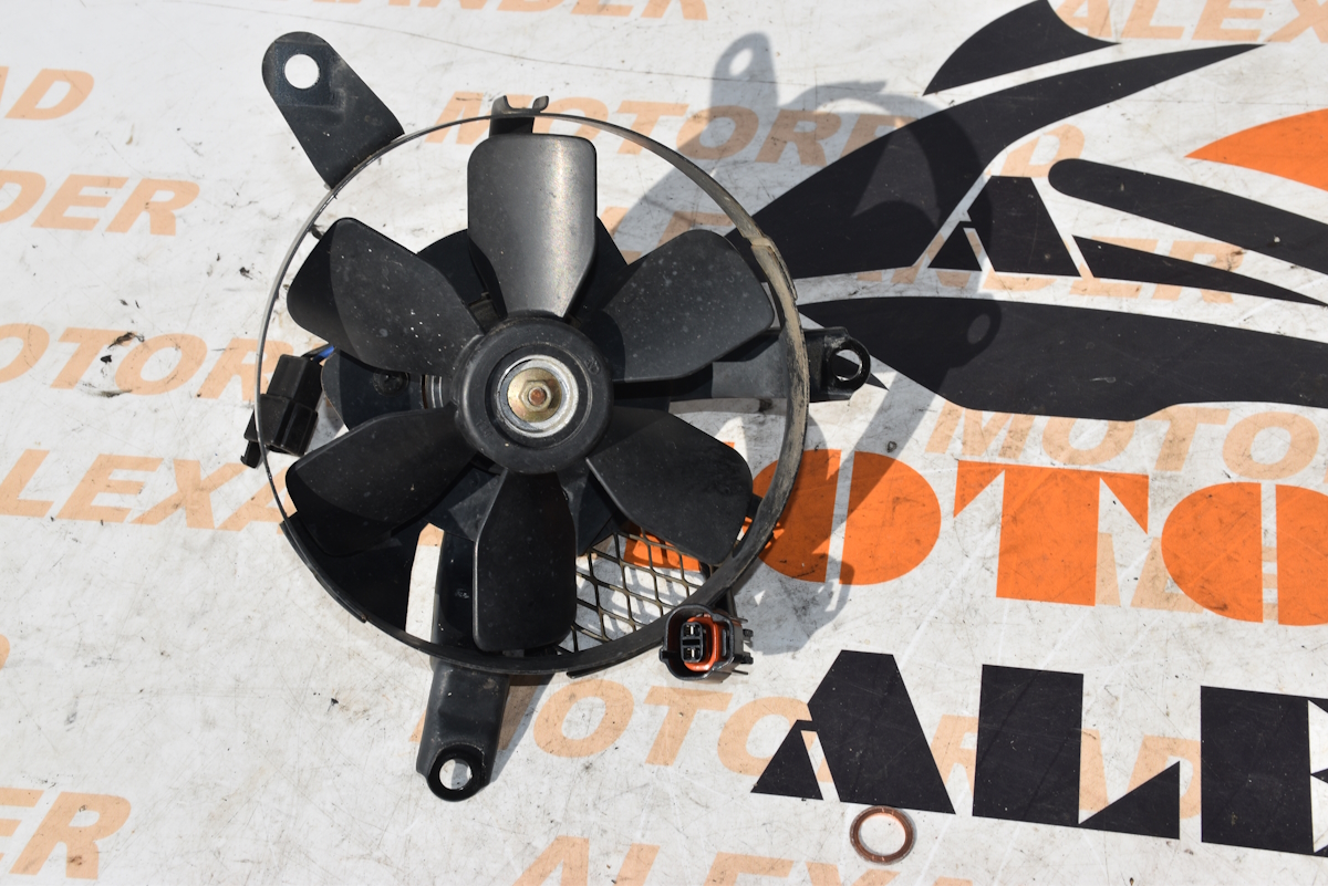 Lüftermotor